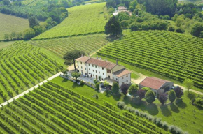 Terre Boscaratto, Susegana
